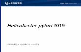 Helicobacter pylori 2019endotoday.com/endotoday02/helicobacter.pdf · 1. 암, 궤양, 단일미란등조직검사의뚜렷한적응증이는 경우는histology를보기위한 조직검사를한다.