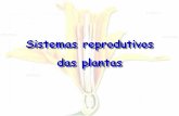 Sistemas reprodutivos das plantas · -> Enxertia (citrus, uva, maça, seringueira, pera) => união de partes de plantas diferentes-> Cultura de tecidos. Sistemas Reprodutivos estolões