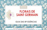 FLORAIS DE SAINT GERMAIN · Um bom floral de limpeza profunda que remove pragas mentais ou verbais, bastante indicado a pessoas azaradas, removendo obstáculos e abrindo caminhos.