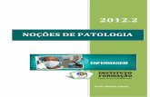 2012 - Instituto Formaçãoifcursos.com.br/.../09-19-15-apostilanocoesdepatologia.pdf · 2012-12-01 · hipertrofias, hiperplasias, hipoplasias, metaplasias, displasias e neoplasias).