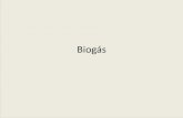 Biogás · 2018-05-17 · Biogás • A produção de Biogás vem de milhões de anos antes de Cristo. Os povos antigos essencialmente agrícolas como no caso dos Hindus , Chineses
