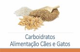 Carboidratos Alimentação Cães e Gatos · Carboidrato –Alimentos cães e gatos •Podem representar de 40 a 55% da matéria seca dos alimentos para cães e gatos •Fornecem de