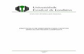 THAYSA APARECIDA MUZIOL · MUZIOL, T. A. Protocol of preparations for direct facets in compound resin. 2017. 40 fls. Work Completion of course (Diploma in Dentistry) - State University