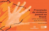 Prevenção da violência juvenil no Brasil...2018 ao redor do mundo. 3 Uma proporção significativa das vítimas de mais de 56.000 mortes no país em 2018 eram homens negros jovens,