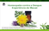 Homeopatia contra a Dengue Experiência de Macaé189.28.128.100/dab/docs/congrepics/42_Laila_Aparecida_de...72 horas: 44,8% para homeopatia e 4% para alopatia; Meningite –1974 –Guaratinguetá