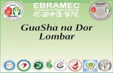 GuaSha na Dor Lombar - FACULDADE EBRAMEC · 2017-09-02 · Gua Sha Definição Gua Sha é uma modalidade terapêutica natural para o tratamento e prevenção de doenças através