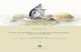 Inês Sofia Mendes Carneiroªs Carneiro.pdf · escalas grosseiras para identificação de associações ambientais finas e a falta de inferência estatística (Biffi et al., 2016;
