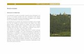 Resumo Guimarães Biodiversidade Draft · concelho, todavia, o ponto de vigia de Santa Marta das Cortiças, que pertence a Braga, ... manutenção dos pontos de água de Briteiros