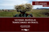 Sistemas Agrícolas Tradicionais no Brasilainfo.cnptia.embrapa.br/digital/bitstream/item/... · Engenheiro-agrônomo, mestre em Ciências de Florestas Tropicais, chefe da Divisão