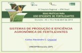 SISTEMAS DE PRODUÇÃO E EFICIÊNCIA AGRONÔMICA DE …brasil.ipni.net/ipniweb/region/brasil.nsf/e0f085ed5f091b1b852579000057902e...Produção de grãos de milho, com e sem N, em sucessão