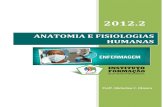ANATOMIA E FISIOLOGIAS HUMANAS - Instituto Formaçãoifcursos.com.br/sistema/admin/arquivos/14-47-48-apostilaanatomiafisiologia.pdf · 6 Anatomia e Fisiologias Humanas Micheline C.