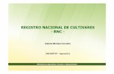 REGISTRO NACIONAL DE CULTIVARES -RNC · 2020-01-21 · –RNC – • Após a realização dos ensaios de VCU o requerimento de inscrição da nova cultivar no RNC deve ser apresentado