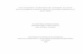 PLAN ESTRATEGICO DE MERCADEO PARA ARTESANIAS DE LA …biblioteca.utb.edu.co/notas/tesis/0034294.pdf · 2012-10-29 · plan estrategico de mercadeo para artesanias de la etnia wayuu
