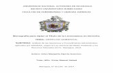 Monografía para Optar al Título de la Licenciatura en Derecho. TEMA… · 2017-01-31 · UNIVERSIDAD NACIONAL AUTONOMA DE NICARAGUA RECINTO UNIVERSITARIO RUBÉN DARIO FACULTAD DE