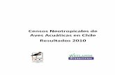 Censos Neotropicales de Aves Acuáticas en Chile Resultados ...redobservadores.cl/wp-content/uploads/2018/03/Informe-CNAA-2010.pdf · CISNE DE CUELLO NEGRO Cygnus melancoryphus ...