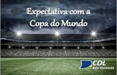 Expectativa com a Copa do Mundo · Público-alvo: Empresários de Belo Horizonte. Amostra: Total de 232 entrevistas, distribuídas aleatoriamente. Com intervalos de confiança de