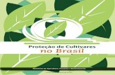 Ministério da Universidade no Brasil Federal de Viçosa · 2019-04-30 · Ciro Maia de Brito (Cead/UFV) Gilmar Silvério da Rocha (Cead/UFV) João Batista Mota (Cead/UFV) Logomarca