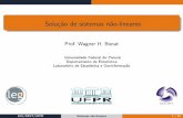Prof.WagnerH - LEG-UFPRnonlineareq.pdf · Soluçãodesistemasnão-lineares Prof.WagnerH.Bonat Universidade Federal do Paraná Departamento de Estatística Laboratório de Estatística