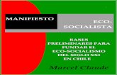 SOCIALISMO DEL SIGLO XX1acerca del autor 3 introducciÓn 4 i. algunos antecedentes histÓricos de la irrupciÓn del caso chileno como paradigma del capitalismo depredador 8