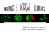 Genética Molecular Humana Profa. Dra. Ana …...apoptose precoce dos neurônios demência progressiva, perda cognitiva e memória 3- Infarto do miocárdio por isquemia necrose das