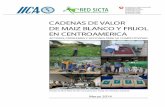 Proyecto Red de Innovación Agrícola Red SICTArepositorio.iica.int/bitstream/11324/2643/1/BVE17038721e.pdf · 2017-09-29 · 2 Instituto Interamericano de Cooperación para la Agricultura