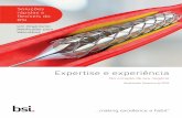 Expertise e experiência - BSI Group - Vasculares.pdf · dilatadores e introdutórios • Fios-guia • Balão cateter intra-aortico • Dispositivos para tratamento de doenças neurovasculares,