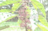 Urticaceae Juss. no Estado de São Paulo, Brasil.arquivos.ambiente.sp.gov.br/pgibt/2013/09/Andre_Luiz... · 2017-01-17 · (Urticaceae Juss. no Estado de São Paulo, Brasil). As Urticaceae