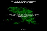 MARIA CAROLINA VAZ GOULART - USP...MARIA CAROLINA VAZ GOULART Hiperplasia papilar: análise quantitativa de Candida albicans no revestimento epitelial e sua correlação com as características