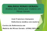 MALÁRIA MINAS GERAISameci.org.br/wp-content/uploads/2019/12/MALÁRIA... · 2019-12-13 · Alguns fatores de risco para malária no estado: -Existência do vetor- Fluxo migratório