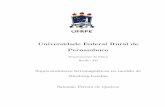 Universidade Federal Rural de Pernambuco · 2019-06-11 · Salom~ao Pereira de Queiroz Supercondutores ferromagn eticos no modelo de Ginzburg-Landau Disserta˘c~ao apresentada a Coordena˘c~ao