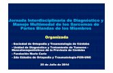 Jornada Interdisciplinaria de Diagnóstico y Manejo ... · Jornada Interdisciplinaria de Diagnóstico y Manejo Multimodal de los Sarcomas de Partes Blandas de los Miembros Organizada-Sociedad