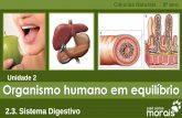 Unidade 2 Organismo humano em equilíbriojcmorais.com/documentos/CN9_Sistema_Digestivo.pdf · Compreender a importância do sistema digestivo para o equilíbrio do organismo humano
