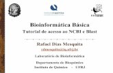 Bioinformática Básica - Federal University of Rio de · PDF file Bioinformática Básica Tutorial de acesso ao NCBI e Blast Rafael Dias Mesquita rdmesquita@iq.ufrj.br Laboratório