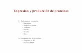 Expresión y producción de proteínas - UMA...Objectivos de la expresión de proteínas en producción industrial Fermentación segura y bajo control Barata Alto nivel de proteína