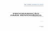 Programação Para advogados - FGV DIREITO RIOdireitorio.fgv.br/sites/direitorio.fgv.br/files/u100/programacao_para... · PãROgRAMAç O PARA ADVOgADOS FgV DIREITO RIO 3 Introdução