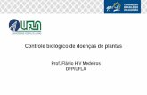 Prof. Flávio H V Medeiros DFP/UFLA...Modulação do sistema imune Sistemas abertos com grande área de superfície colonizado por bactérias Impacto na fisiologia e metabolismo ...