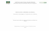 BACIA DE CAMAMU-ALMADArodadas.anp.gov.br/arquivos/Bienio/Mapas_R16/Sumario_Geologico_R16... · granulometria grossa associados a margas e biocalcarenitos dispersos em toda seção