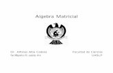 Algebra Matricialgalia.fc.uaslp.mx/~fac/algmat/algmat.pdfIntroducci¶on † Una matriz es un arreglo rectangular de n¶umeros. Algunos ejemplos de matrices son: 0 B @ 2 4 1 8 ¡1 5