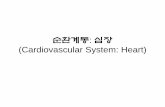 순환계통: 심장 (Cardiovascular System: Heart)contents.kocw.or.kr/KOCW/document/2014/Seowon/yoonwan... · 2016-09-09 · • Chordae tendineae(힘줄끈)에 의해 papillary