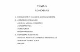 TEMA 5 AGNOSIAS - Webnode · 2013-09-04 · Junqué, C. y Barroso, J. (2009) Manual de neuropsicología. Madrid: Síntesis. Cap. 5 . AGNOSIAS DEFINICIÓN INCAPACIDAD PARA RECONOCER