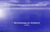Os produtores primários marinhosmaloucao/MAmb10_Abr_06.pdf · • Laser double faisceau (UV-488 nm) • Tri haut ... Nitrates Phosphates Fer Prochlorococcus 100 000 / ml Vent . Diversitédes