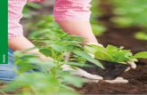 FERTILIZANTES - semillasbatlle.com · 100% natural y de alto poder nutritivo, ofrece rápidos resultados en la fertilización de todo tipo de plantas y árboles, tanto horticolas