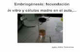 Embriogénesis: fecundación in vitro y células madre en el ...©nesis.pdf · La ciencia está presente en todos los momentos de nuestras vidas cotidianas. La importancia de la ciencia