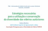 Estratégias necessárias para a utilização e conservação da ...FNA –Instrumentos de adição de valor para o sector vitivinícola Santarém, 13.06.2019 Estratégias necessárias