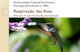 Universidade Federal Fluminense Fisiologia Veterinária I ...fisiovet.uff.br/wp-content/uploads/sites/397/delightful-downloads/2018/06/Resp_aves...se através dos pulmões para dentro