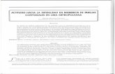 Impresi n de fax de p gina completa - Revista Liberabitrevistaliberabit.com/por/revistas/liberabit06/rosario... · 2015-01-20 · vez en 1997 en IOS Archivos Hispanoamericanos de