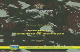 MINISTÉRIO DA DEFESA 32-1 Prevenção de... · ministÉrio da defesa exÉrcito brasileiro comando de operaÇÕes terrestres portaria n° 008 - coter, de 04 de dezembro de 2002. aprova