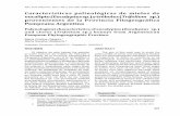 Características palinológicas de mieles de Trifolium ......249 Características palinológicas de mieles Tomo 45 • N 1 • 2013 Pampeana (5) y comprende el sur de las provincias
