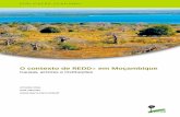 O contexto de REDD+ em Moçambique · 2 Mapa dos diferentes tipos de vegetação natural original em Moçambique 2 3 Zoneamento do risco de desmatamento e degradação de florestas