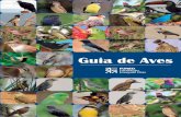 Guia de Aves - Biologia para BiólogosA diversidade das aves no ambiente urbano pode ser relativa-mente alta, uma vez que a presença de arborização e de áreas verdes urbanas são